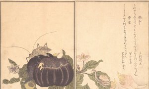 Land Snail Katatsumuri, Giant Katydid Kutsuwamushi by Kitagawa Utamaro