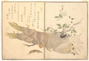 Mole Cricket (Kera); Earwig, (Hasami-mushi), from the Picture Book of Crawling Creatures (Ehon mushi erami) by Kitagawa Utamaro