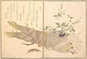 Mole Cricket, Earwig by Kitagawa Utamaro