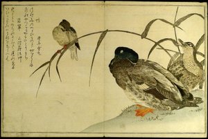 Myriad Birds: A Kyoka Competition by Kitagawa Utamaro