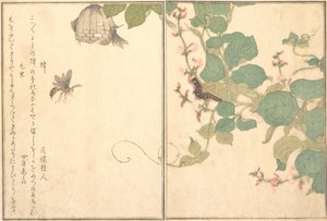 Paper Wasp Hachi, Hairy Caterpillar Kemushi..., 1788 by Kitagawa Utamaro