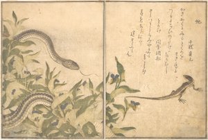Rat Snake; Lizard or Skink, from the Picture Book of Crawling Creatures by Kitagawa Utamaro