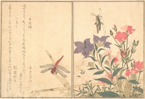 Red Dragonfly Akatonbo, Locust Inago..., 1788