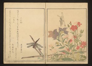 Red Dragonfly and Locust by Pinks by Kitagawa Utamaro