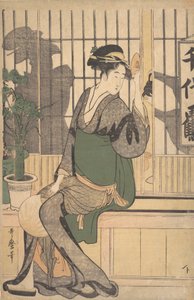 Shadows on the Shoji