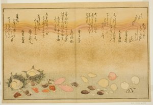 Shiro-gai, namima-gashiwa, makura-gai, iro-gai, aza-gai, sadae-gai, from the illustrated book "Gifts from the Ebb Tide (Shiohi no tsuto)" by Kitagawa Utamaro