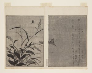 Tree Cricket and Firefly by Kitagawa Utamaro