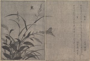 Tree Cricket Matsumushi, Firefly Hotaru by Kitagawa Utamaro