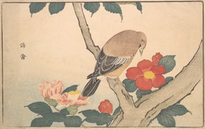 Camellias with a Bird