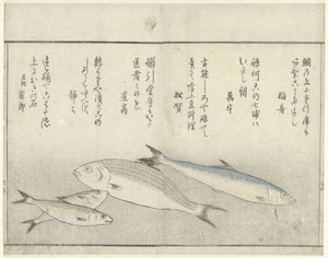 Four Fish by Kitao Masayoshi