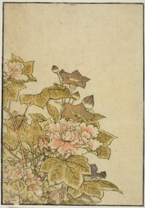 Autumn Flowers: Peonies and Bellflowers, from the book 