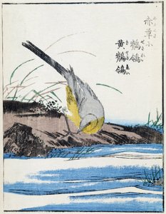 Bird. Japanese Drawing by Kitao Kosuisai