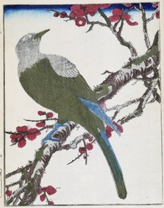 Bird on a Tree. Japanese Drawing by Kitao Kosuisai
