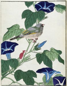 Bird on a tree. Japanese drawing by Kitao Kosuisai by Kitao Shigemasa