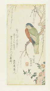Parrot in a Plum Tree