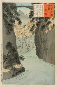 Monkey Bridge