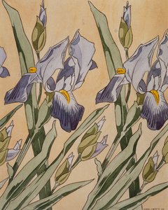 Iris by Koloman Moser