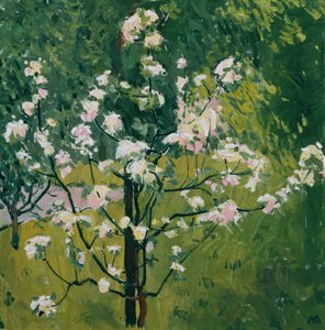 Blooming Little Tree