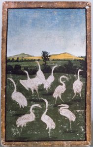 Herons in a Field, One of a Set of Playing Cards Depicting Scenes of Courtly Hawking, Upper Rhein Area, c.1440-45 by Konrad Witz