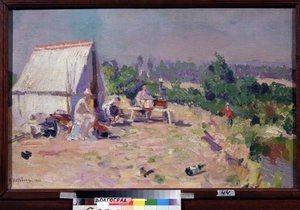 A Picnic
