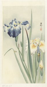 Irises by Ohara Koson