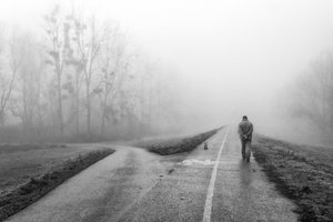 Misty Road Choices by Krunoslav Nevistic