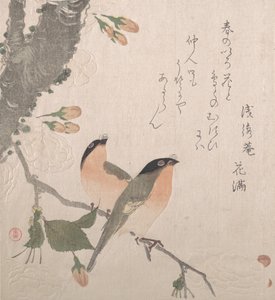 Bullfinches and Cherry Blossoms
