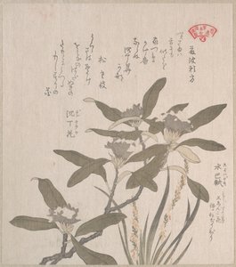 Daphne odora and Mojisuri-so by Kubo Shunman