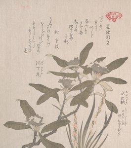 Daphne odora and Mojisuri-so by Kubo Shunman