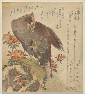 Eagle with an upraised claw on a rock by an azalea bush
