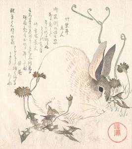 Hare and Dandelion by Kubo Shunman