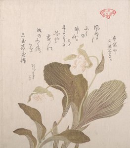 Hotei Flowers by Kubo Shunman