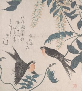 Swallows and Wisteria