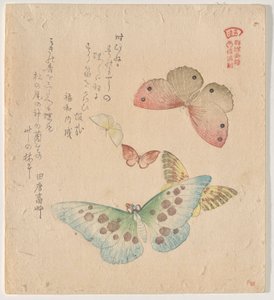 The Painting Manual of Flock of Butterflies (Guncho Gafu) by Kubo Shunman
