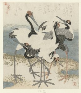Five Cranes