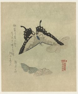 Four Butterflies (A Series of Prints with Butterflies for the Kasumi Poets Association) by Kubota Shunman