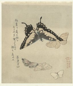 Five Butterflies by Kubota Shunman