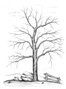 Bare Winter Tree by Kulik