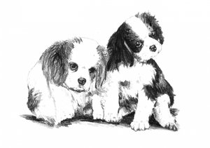 Cavalier Puppy Companions by Kulik