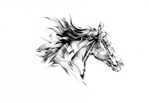 Dynamic Horse Flow by Kulik