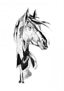 Dynamic Horse Sketch
