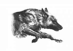 Dynamic Wolf Stalking by Kulik