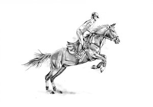 Equestrian Horse Jump by Kulik