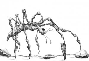 Fantasy Spider Sketch by Kulik