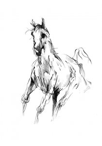 Galloping Horse Sketch by Kulik