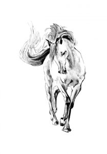 Galloping Horse Sketch by Kulik
