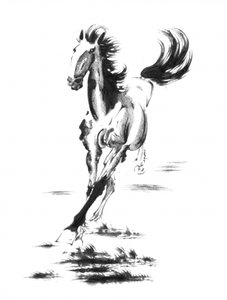 Galloping Wild Horse by Kulik
