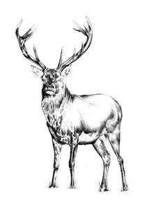 Majestic Stag by Kulik