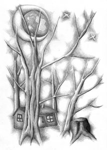 Moonlit Forest Homes
