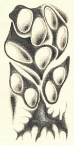 Mysterious Organic Form by Kulik